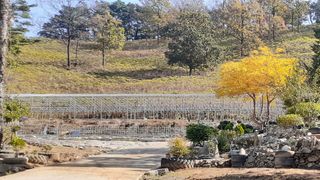 알 수 없음님의 두릅 · 일상 작성글 사진