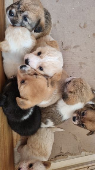 전상조님의 자유주제 · 자유게시판 작성글 사진