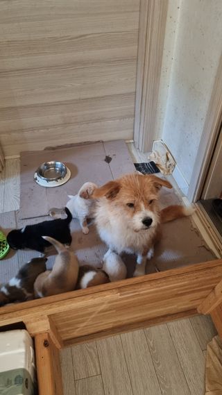 전상조님의 자유주제 · 자유게시판 작성글 사진