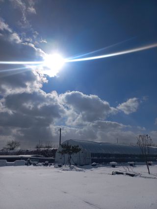 고랑이랑 임수연님의 자유주제 · 자유게시판 작성글 사진