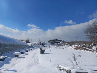 고랑이랑 임수연님의 자유주제 · 자유게시판 작성글 사진