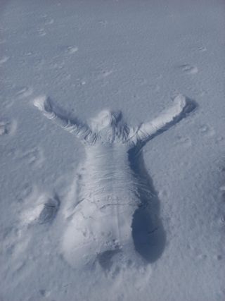 고랑이랑 임수연님의 자유주제 · 자유게시판 작성글 사진