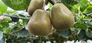 최성주님의 팜모닝 · 출석 작성글 사진