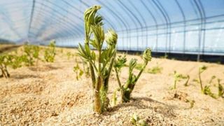 알 수 없음님의 자유주제 · 건의해요 작성글 사진