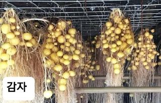 알 수 없음님의 자유주제 · 건의해요 작성글 사진