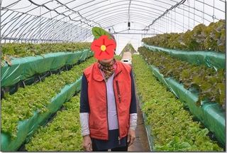 알 수 없음님의 자유주제 · 건의해요 작성글 사진