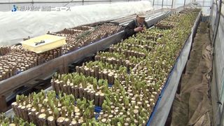 알 수 없음님의 자유주제 · 건의해요 작성글 사진