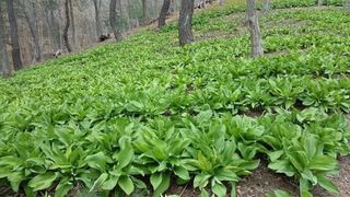 알 수 없음님의 자유주제 · 건의해요 작성글 사진