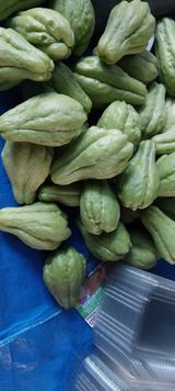 팜모닝 그동안 생산한 농작물은?·참여글 게시글 이미지