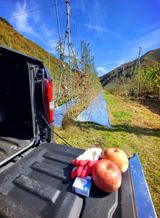 팜모닝 그동안 생산한 농작물은?·참여글 게시글 이미지