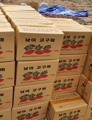 사과13993님의 그동안 생산한 농작물은? · 참여글 작성글 사진