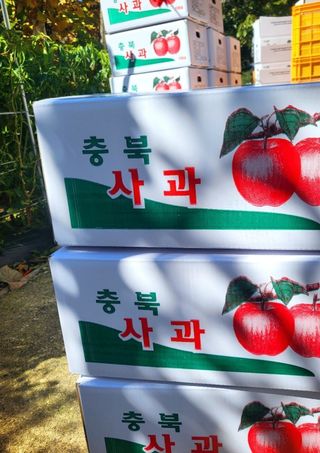 사과13993님의 그동안 생산한 농작물은? · 참여글 작성글 사진