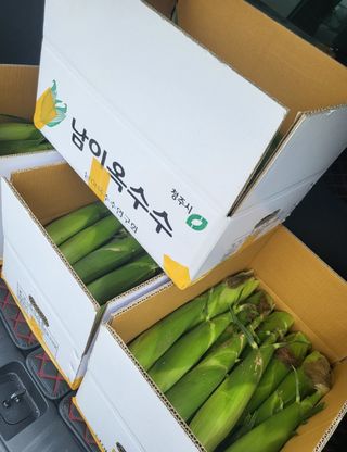 사과13993님의 그동안 생산한 농작물은? · 참여글 작성글 사진