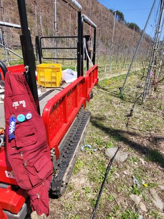 사과13993님의 그동안 생산한 농작물은? · 참여글 작성글 사진