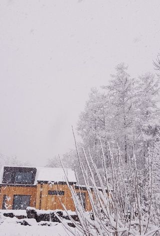 사과13993님의 그동안 생산한 농작물은? · 참여글 작성글 사진