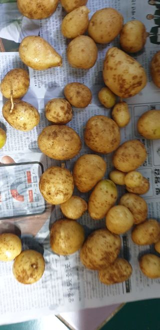 김동진님의 그동안 생산한 농작물은? · 참여글 작성글 사진