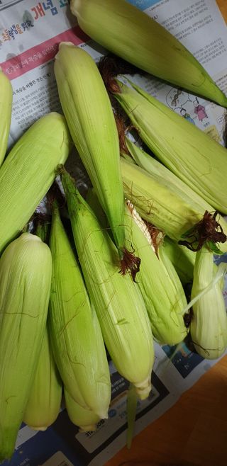 김동진님의 그동안 생산한 농작물은? · 참여글 작성글 사진