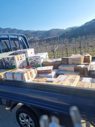 사과와곶감님의 그동안 생산한 농작물은? · 참여글 작성글 사진