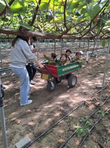 팜모닝 그동안 생산한 농작물은?·참여글 게시글 이미지