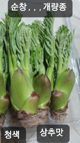 알 수 없음님의 자유주제 · 자유게시판 작성글 사진