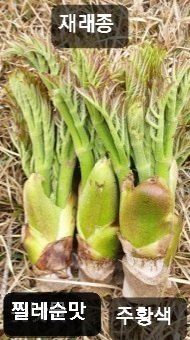 알 수 없음님의 자유주제 · 자유게시판 작성글 사진