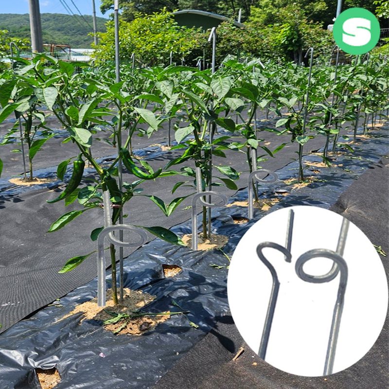 장터 상품 [강선고추대 작물지지대 고추지주대] 썸네일