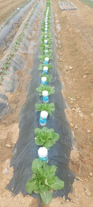 권태영님의 자유주제 · 자유게시판 작성글 사진