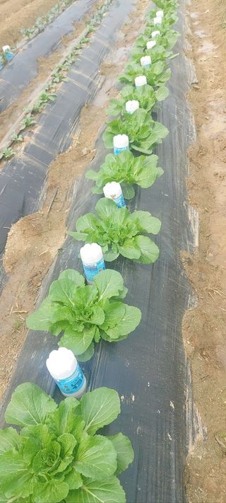 권태영님의 자유주제 · 자유게시판 작성글 사진