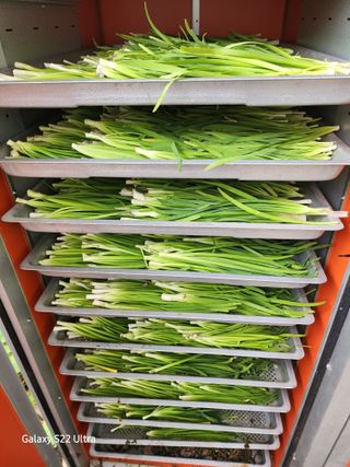 약초원 김종군님의 작성글 사진