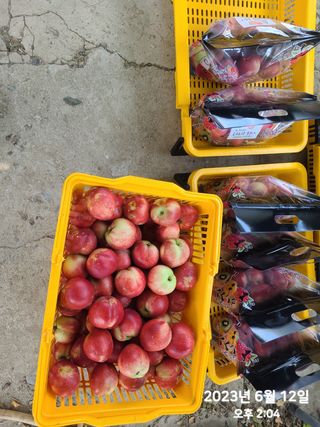 동우농장(김대욱)님의 그동안 생산한 농작물은? · 참여글 작성글 사진