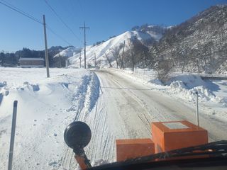 변호연님의 두릅 · 영농일지 작성글 사진
