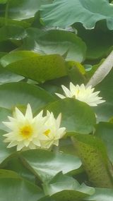 팜모닝 자유주제·자유게시판 게시글 이미지