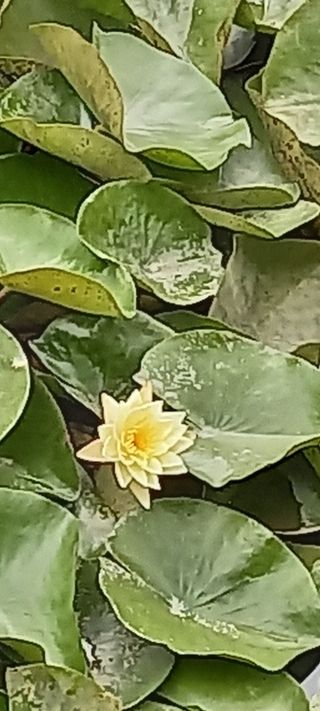 ㄱㅇㄹㄴㅂ님의 자유주제 · 자유게시판 작성글 사진