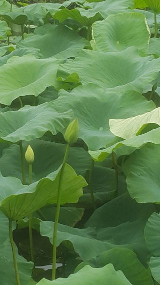 ㄱㅇㄹㄴㅂ님의 자유주제 · 자유게시판 작성글 사진