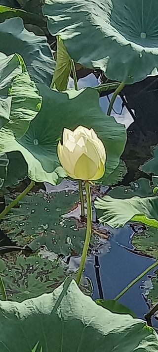 ㄱㅇㄹㄴㅂ님의 자유주제 · 자유게시판 작성글 사진