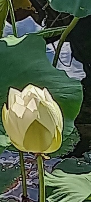 ㄱㅇㄹㄴㅂ님의 자유주제 · 자유게시판 작성글 사진