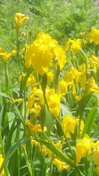 ㄱㅇㄹㄴㅂ님의 자유주제 · 자유게시판 작성글 사진