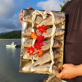 팜모닝 · 게시글 이미지