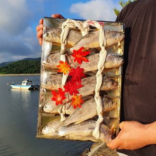 임성환님의 작성글 사진