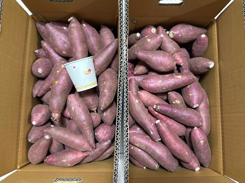 이영민님의 장터 판매 상품 [무안 황토 꿀 고구마 상중 5kg] 첨부 사진