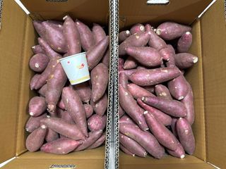 이영민님의 작성글 사진