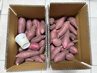 이영민님의 작성글 사진