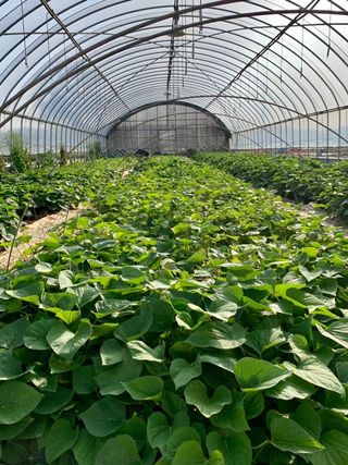 이영민님의 작성글 사진