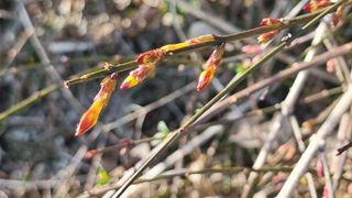 푸른꿈님의 자유주제 · 자유게시판 작성글 사진