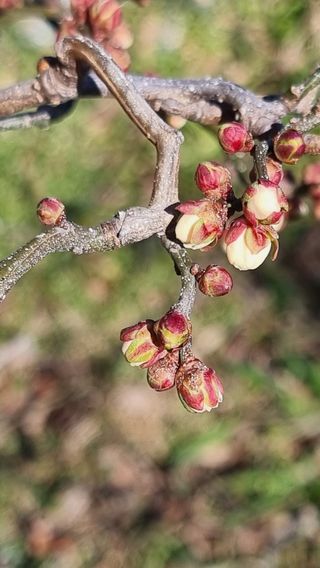 푸른꿈님의 자유주제 · 자유게시판 작성글 사진