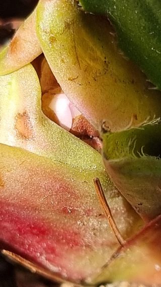 푸른꿈님의 자유주제 · 자유게시판 작성글 사진