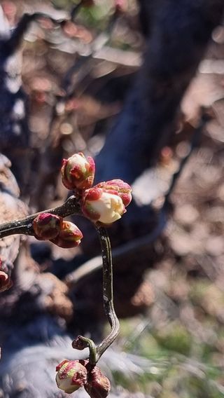 푸른꿈님의 자유주제 · 자유게시판 작성글 사진