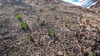 푸른꿈님의 자유주제 · 자유게시판 작성글 사진