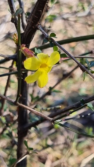 푸른꿈님의 자유주제 · 자유게시판 작성글 사진