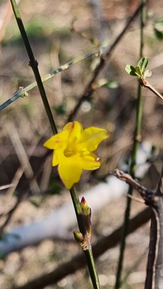 푸른꿈님의 자유주제 · 자유게시판 작성글 사진